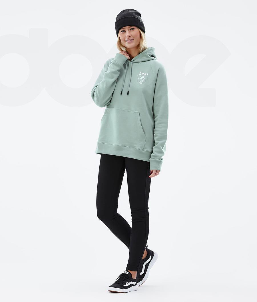 Dope Common W Summit Hoodie Damen Grün | CH1231SO